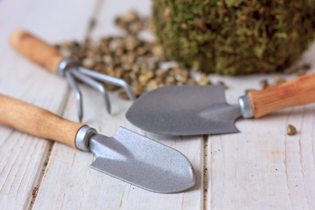 House planting equipment - small shovel an pot with plantの写真素材