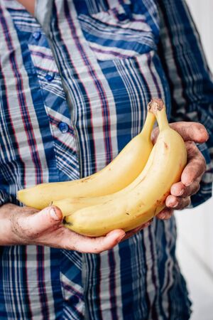 Dirty farmer hands holds yellow ripe banana fruitの写真素材