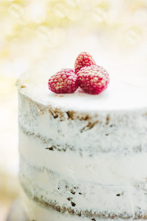 Close-up view of beautiful christmas cake with berries on top
