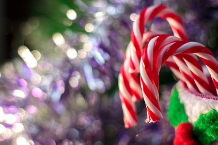 Beautiful christmas candy canes as christmas background.の写真素材