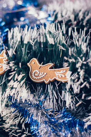 Small dove as christmas symbol, on christmas tree with copy space.の写真素材