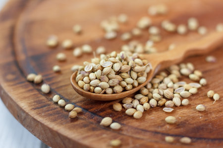 Coriander seeds in a wooden spoon over kitchen board.の写真素材