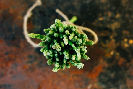 Hip of fresh asparagus on metal rustic board.の写真素材