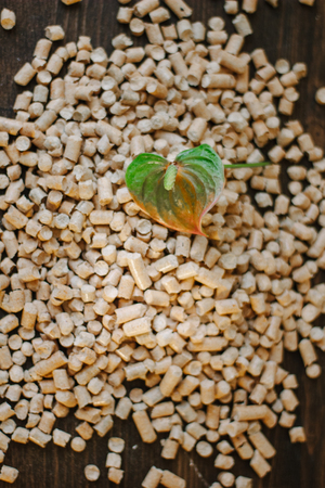 Fresh flower and wooden pellets over brown backgroundの写真素材