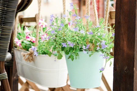 Flowers on a street in a potの写真素材