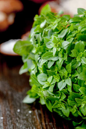 Green basil leaves on a dark kitchen tableの写真素材