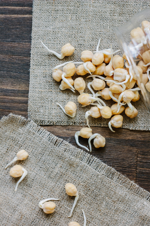Chickpea sprouts over fabric material, ready to eatの写真素材