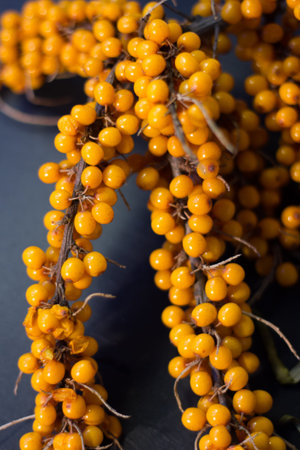 Sea buckthorn on a branches over the black slate background