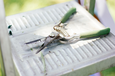 Garden pruner or scissors or secareurs on metal surface.の写真素材