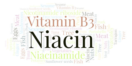 Niacin word cloud. Wordcloud made with text only.の写真素材