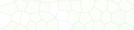 Light grey colorful Big Hexagon in banner shape background illustrationの写真素材