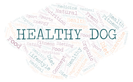 Healthy Dog word cloud. Wordcloud made with text only.の写真素材