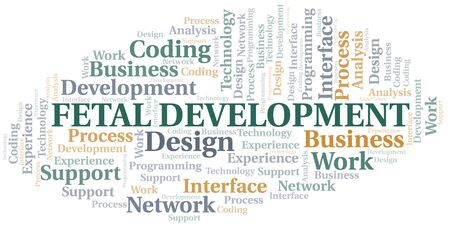 Fetal Development word cloud. Wordcloud made with text only.のイラスト素材