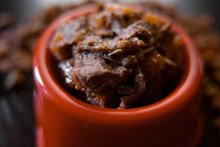 Close up view of wet pet food in a orange bowl.の写真素材