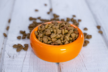 Dry pet food in a orange bowl.