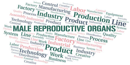 Male Reproductive Organs word cloud create with text only.のイラスト素材