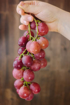 Woman hand holding bunch of grape.の写真素材
