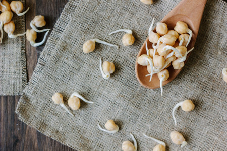 Chickpea sprouts on a wooden spoon over fabric material.の写真素材