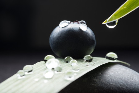 Blueberry blueberries in a black and white backgroundの写真素材