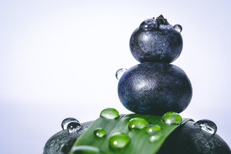 Blueberry blueberries in a black and white backgroundの写真素材