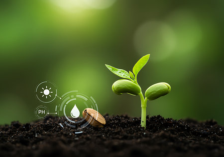 Green seedling illustrating concept of new life and sustainable development. 3D rendering.の素材