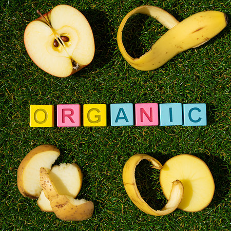 Organic word on green grass with apple and banana, healthy food conceptの素材