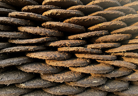 Pile of wood logs in a woodworking factory, closeup of photoの素材