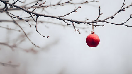 Red christmas ball hanging on a tree branch in winter season.の素材