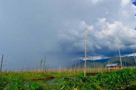 Rain closeup Inle Lake Myanmarの写真素材