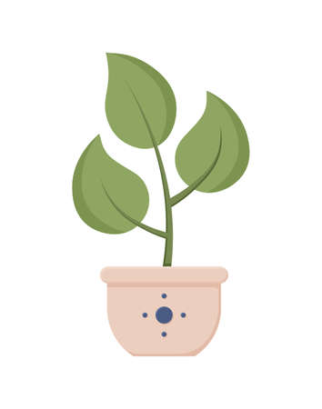 Botancal illustration with leaves and plant. Beautiful flower vase with colorful flower vector flat icon. Colorful flower in vase isolated flat icon on white background. Vector illustrationのイラスト素材