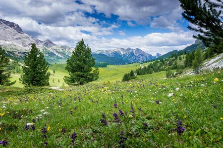 Plätzwieseの写真素材