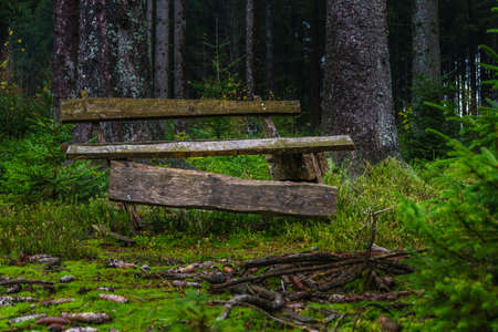 Rotten bench in the Bavarian Forest Germanyの写真素材