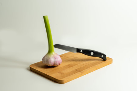 Fresh harvested Garlic in different positions