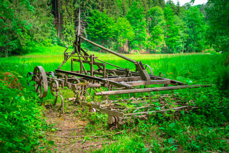 Old harrow in the middle of the Mitterfels forest, Bavarian Forestの写真素材
