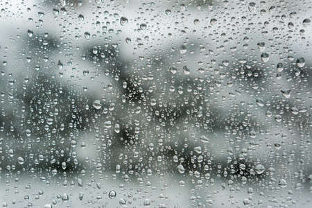 Waterdrops on Window Glassの写真素材