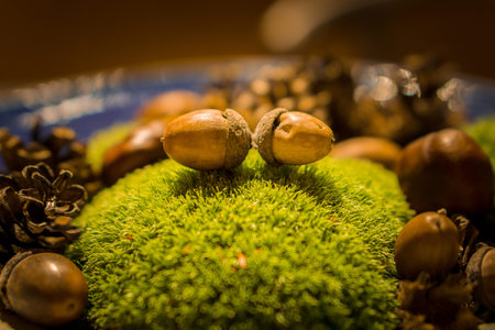 different autumn decoration with acorns and chestnuts