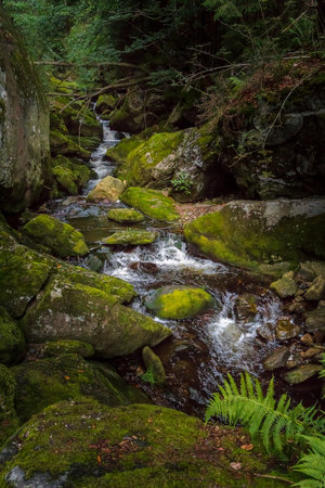 Hiking through the Steinbachklamm in the Bavarian Forestの写真素材