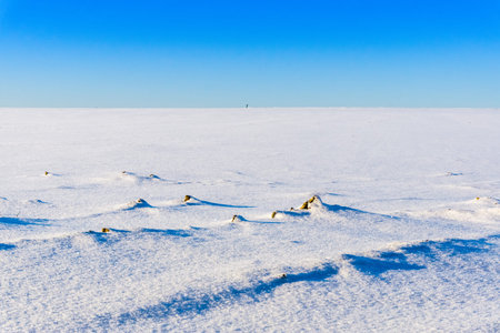 Snow landscapes