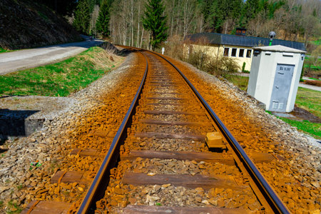 Hike to the Castle Ruins of Altnussberg in the Bavarian Forest