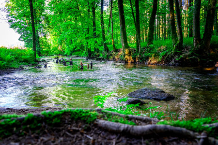 Hike through the Perlbach Valley near Neukirchen in the Bavarian Forest Germany