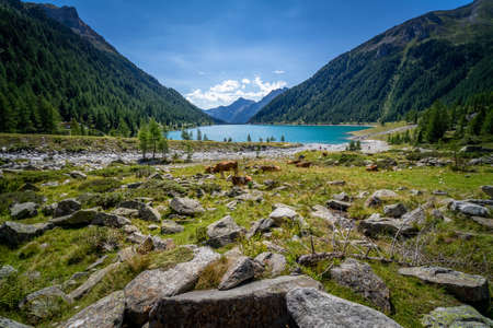 Hiking tour around the Neves Reservoir in South Tyrol Dolomites Italyの写真素材