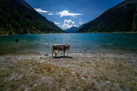 Hiking tour around the Neves Reservoir in South Tyrol Dolomites Italyの写真素材