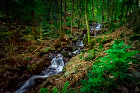 Hiking to the Nagelsteiner Waterfalls in the Bavarian Forestsの写真素材