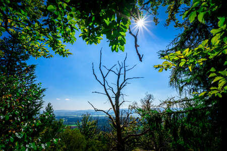 Hiking to the Kuernburg in the Bavarian Forestsの写真素材
