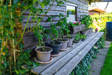 Garden Shed with Gardening Tools at Flower Potts in a Garden in Lower Bavaria Germany