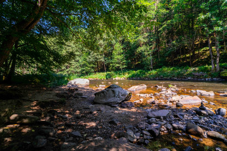 Hiking along the Ilz River between Schrottenbaum Mill and Fuersteneck in the Bavarian Forests. Bavaria. Germany.の写真素材