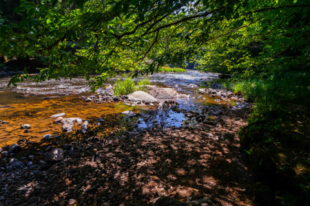 Hiking along the Ilz River between Schrottenbaum Mill and Fuersteneck in the Bavarian Forests. Bavaria. Germany.の写真素材
