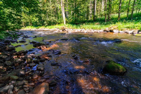 Hiking along the Ilz River between Schrottenbaum Mill and Fuersteneck in the Bavarian Forests....