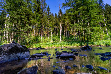 Hiking along the Ilz River between Schrottenbaum Mill and Fuersteneck in the Bavarian Forests. Bavaria. Germany.の写真素材