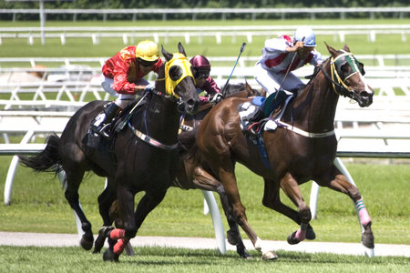 Horse Racing